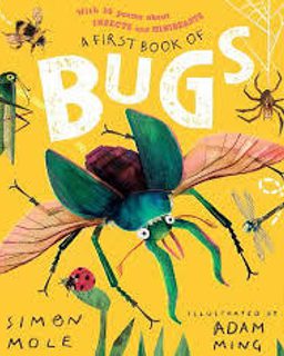 A First Book of Bugs: with 30 poems about insects and minibeasts