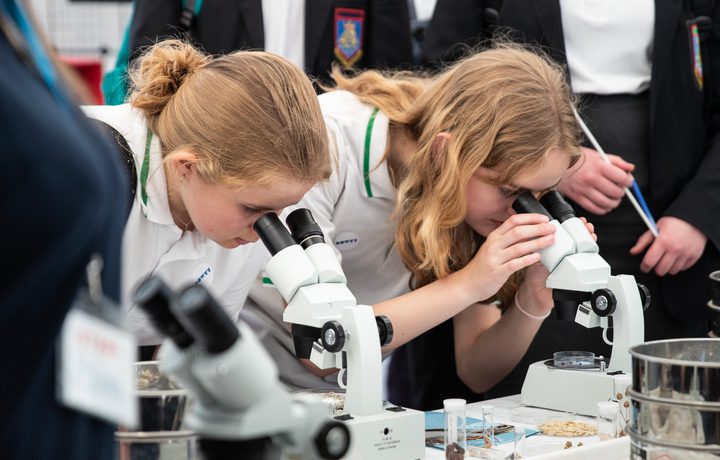 two chidlren looking into microscopes