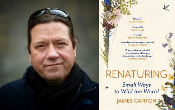 Renaturing: Small Acts to Help Nature