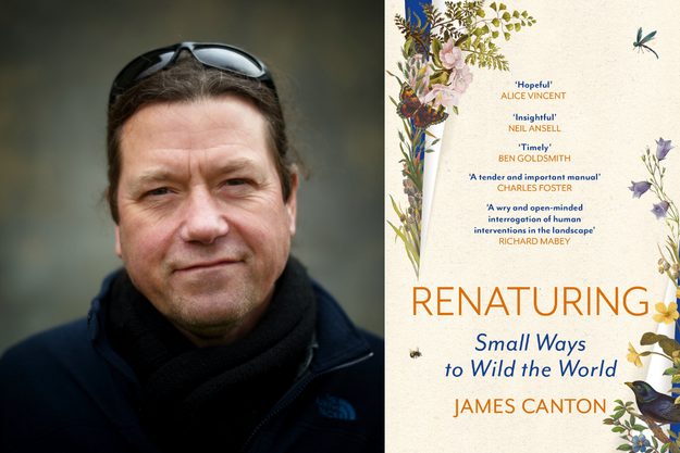 Renaturing: Small Acts to Help Nature