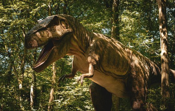 A dinosaur
