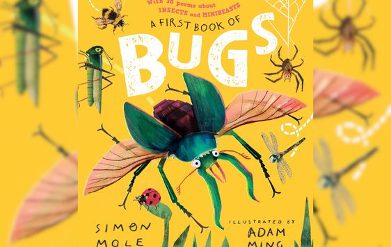 Big Bug Show book jacket
