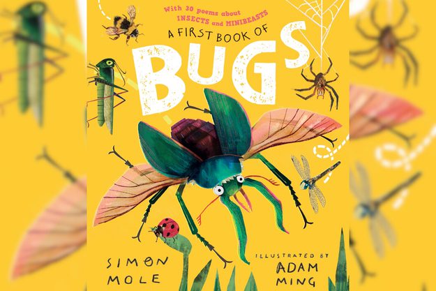 Big Bug Show book jacket