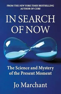 In Search of Now: The Science and Mystery of the Present Moment