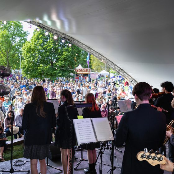 A shot from behind the band on stage looking out into a crowd of people at Jazz It Up 2025