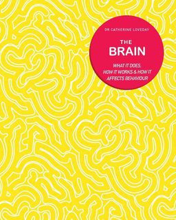 The Brain