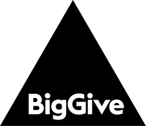 The Big Give