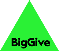 Big Give logo