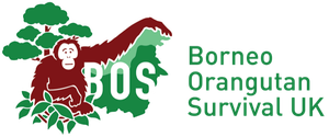 BOS UK logo Green RGB