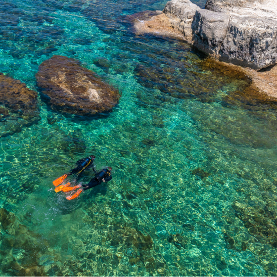 Divers in sea